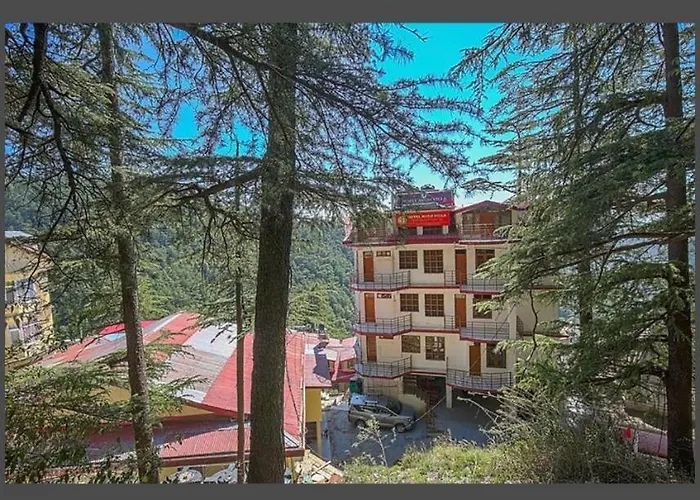 Hotel Avon Villa Shimla